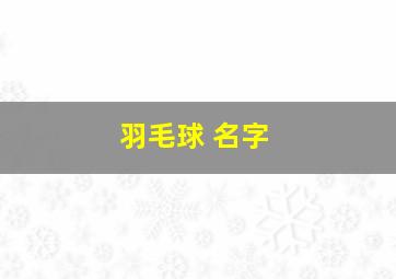 羽毛球 名字